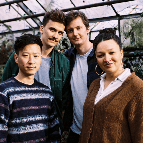 Daisy Grow Yellow Daisy Grow Yellow